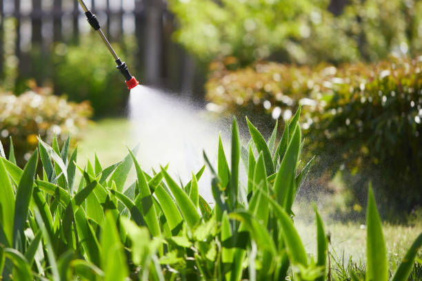 24/7 Emergency Wasp Removal experts in Muskego, WI