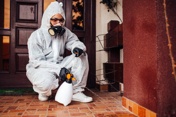 Reliable Wasp Removal contractor in Muskego, WI by Show Me Pest Control